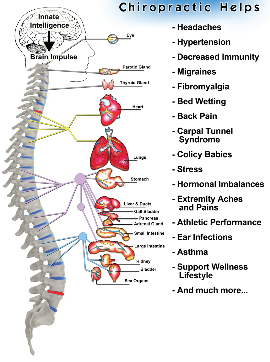 chiropractic infographic